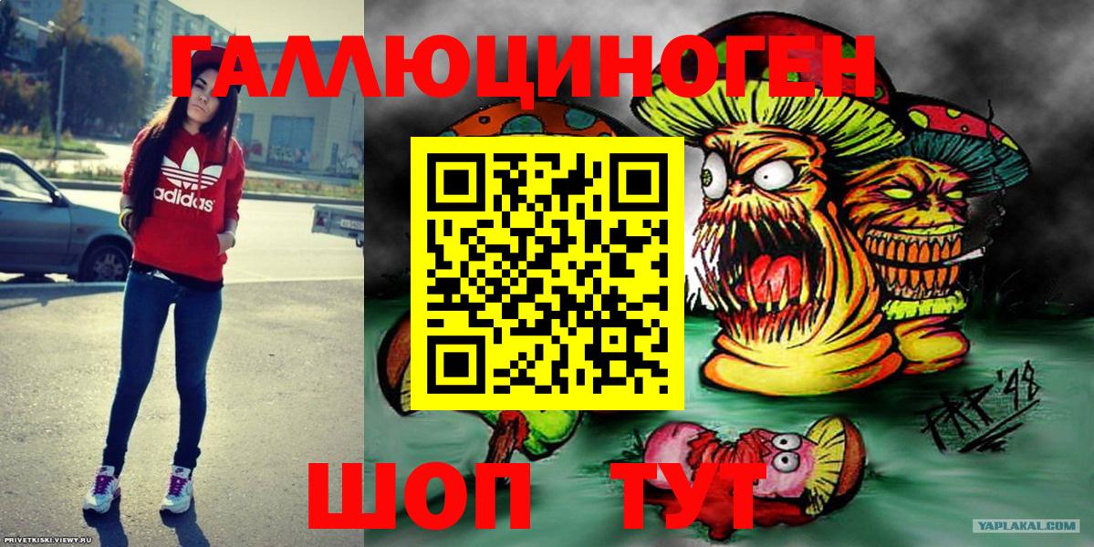 Псилоцибиновые грибы мицелий Старая Русса
